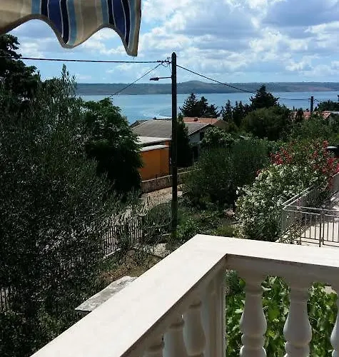 Camelia * Масленица