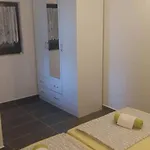 Camelia * 马斯莱尼察