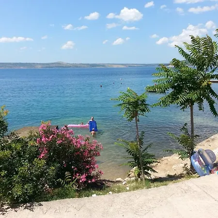 Camelia Apartment *